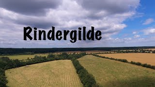 Rindergilde Geesthacht Pixelwork Studio