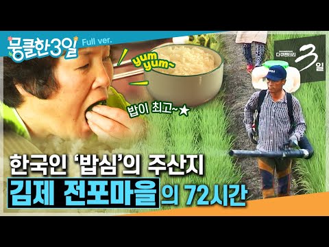 [다큐3일⭑<strong>Full</strong>] &amp;<strong>quot</strong>;한국인은 밥심이요, 밥은 보약이다&amp;<strong>quot</strong>; 🍚 호남평야에서 묻는 우리 쌀 이야기 🌾 ‘김제 전포마을&amp;#39;의 72시간 | KBS 방송