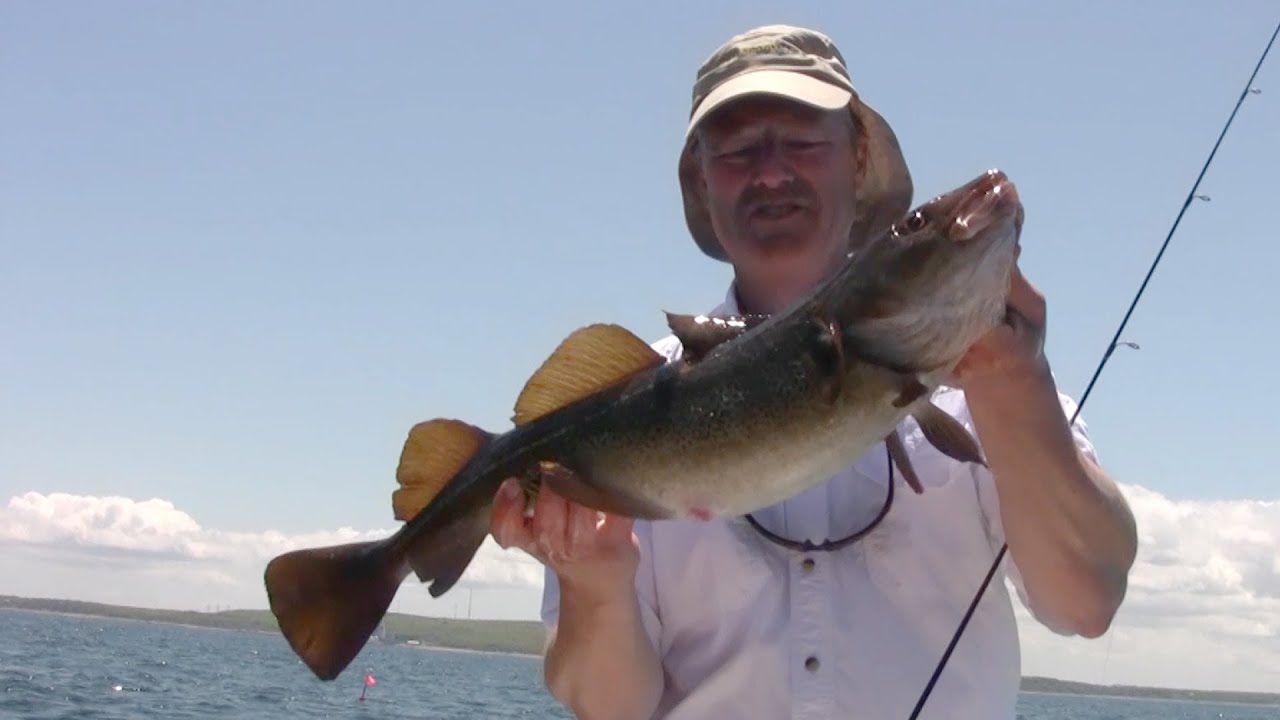Jigging for Keeper Cod with the Flexi Jig Cape Cod Saltwater Fishing