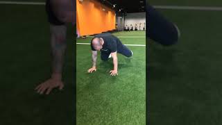 Bear Crawl Hydrant