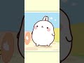 Molang and Piu Piu&#39;s new puppy #shorts