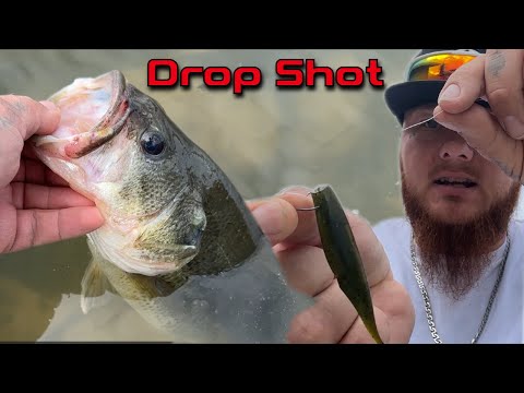 The Fishing Junky - YouTube