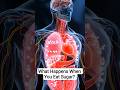 What Happens When You Eat Sugar? 🍬 #healtheducation #bodymechanism mechanism #howyourbodyworks