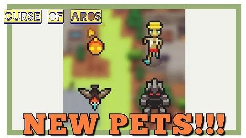 [NEW UPDATE] Curse of aros Pet Skill
