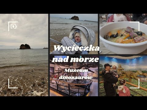 Długi weekend w Korei - Jedziemy nad morze / Dinozaur zjadł Jasmine #vlog #korea