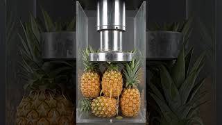 🍍 হাইড্রোলিক প্রেস বনাম আনারস | তৃপ্তিদায়ক আনারস চূর্ণ করার ASMR 💥 | 4K