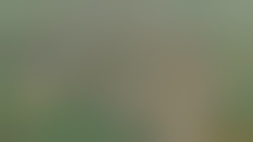 Daggerfall Unity - ADG Mod 9