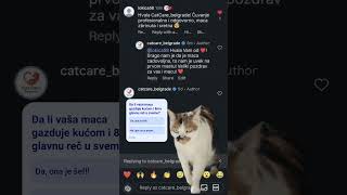 Zadovoljni klijenti kažu 🐾 Cat Care Belgrade Potrebno vam je pouzdano i profesionalno čuvanje maca?