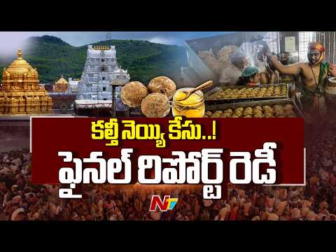 TTD Laddu Ghee Adulteration Case: కల్తీ నెయ్యి కేసు.. ఫైనల్ రిపోర్ట్ రెడీ | NTV Telugu - NTVTELUGU