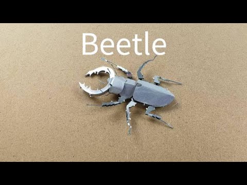 3 Beetle - YouTube