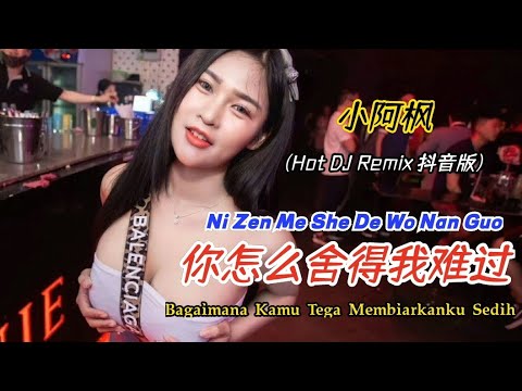 小阿枫 - 你怎么舍得我难过 (DJ抖音版) Ni Zen Me She De Wo Nan Guo【Bagaimana Kamu Tega Membiarkanku Sedih】Terjemahan