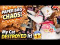 My Cat DESTROYED My Shopping Bag 😱