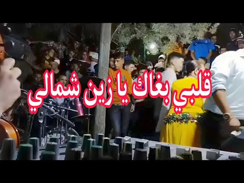 قلبي بغاك يا زين شمالي