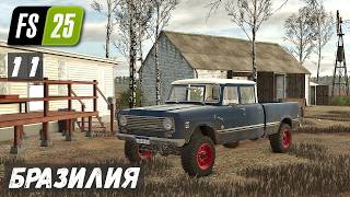 FS 25 - Бразилия.  Материал для МОСТА # 11