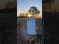 CMF phone 2 pro cinematic video #capcut #cmfphone2pro #cinematic #youtubeshorts #mobilephotography
