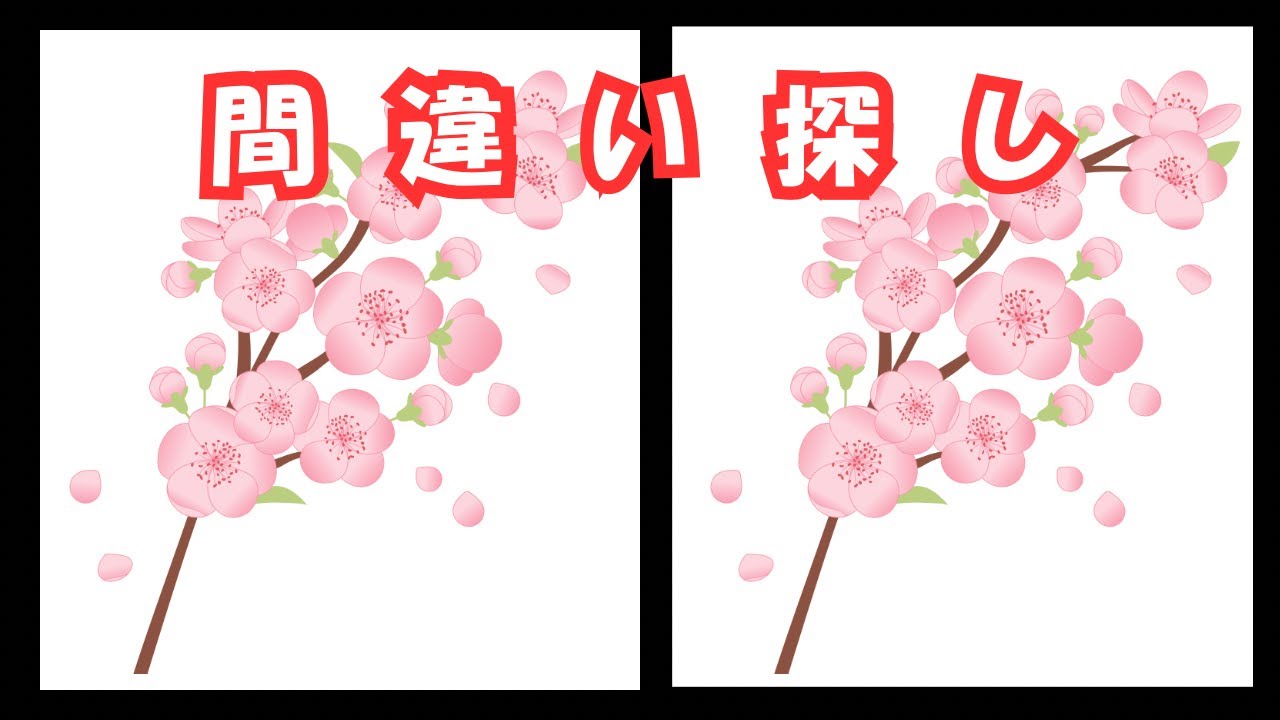 【間違い探し】50代,60代,70代,高齢者クイズ無料ゲーム動画で老化防止＆認知症予防！Part3