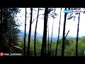 Wisata Hutan Pinus Eglasari Suasana yang mirip Orchid Forest Cikole Lembang
