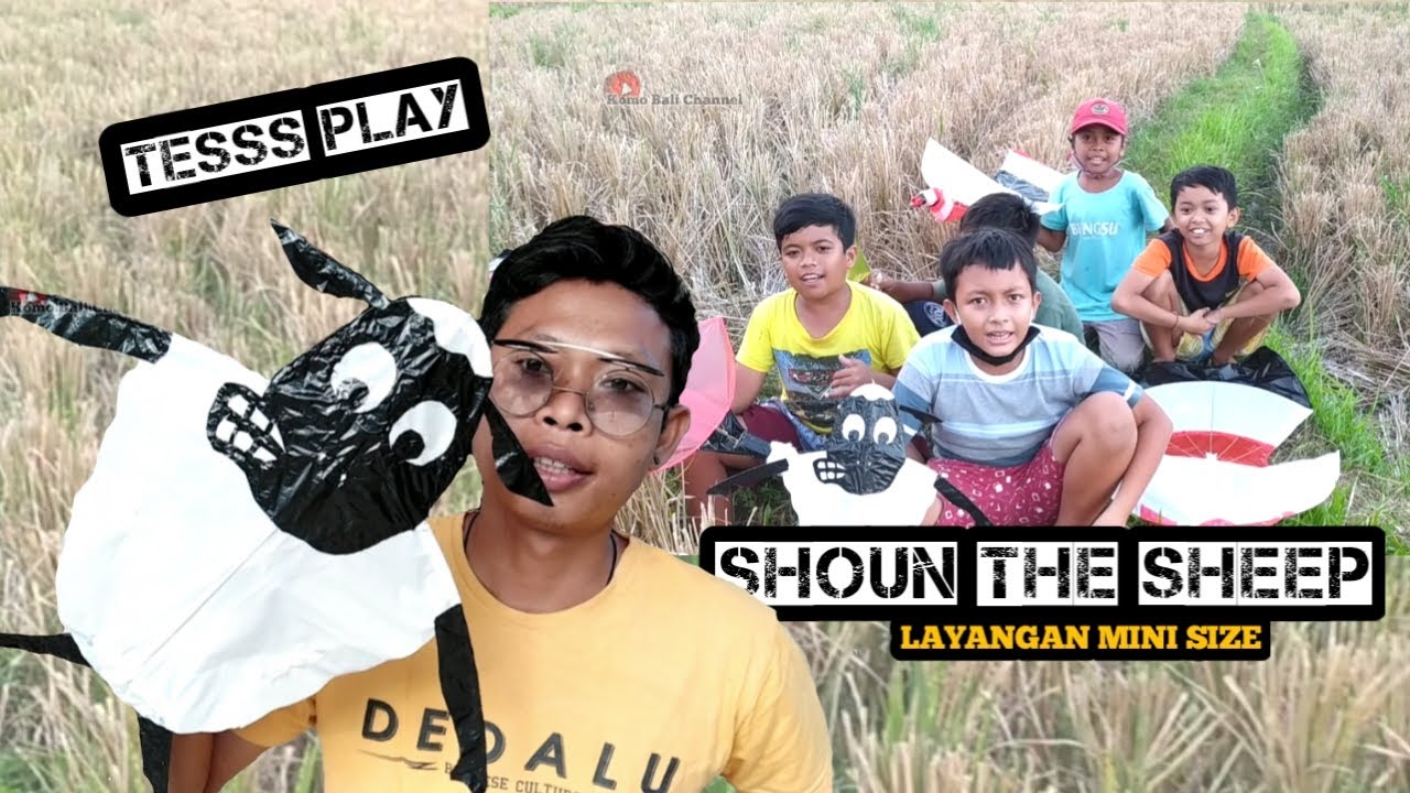 SHOUN THE SHEEP KITE TEST FLIGHT, REQUEST, SMALL SIZE/ LAYANGAN