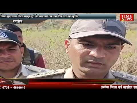 जिला मुख्यालय स्थित मशहूर दुर्ग के आसपास एक बार फिर बाघ का मूवमेंट
