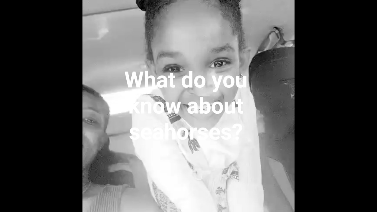 What do you know about seahorses?