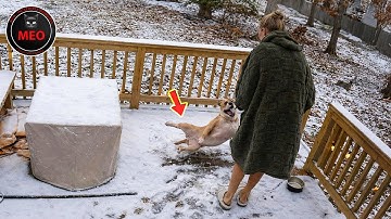 Moments when Thing Went Wrong (P156) | 2025 Idiots at Work & Instant Regret Fails Compilation