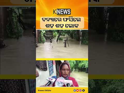 ୪ ଫୁଟ ପାଣିରେ ବୁଡ଼ିଲା ଗାଁ ! ଜଳବନ୍ଦୀ ୮୦ରୁ ଅଧିକ ପରିବାର | Knews Odisha