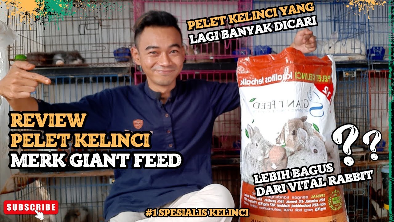REVIEW PELET KELINCI GIANT FEED, PAKAN kelinci yang banyak DICARI 