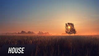 Avidanx - Summer Support By Felix Jaehn & Gregor Salto Er Free Release