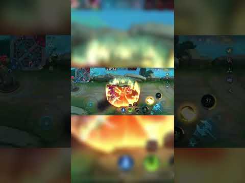 Terizla VS Argus