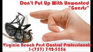 Virginia Beach Pest Control Professionals  --  1-(757) 742-5556