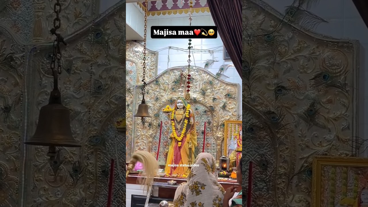 majisa status video 