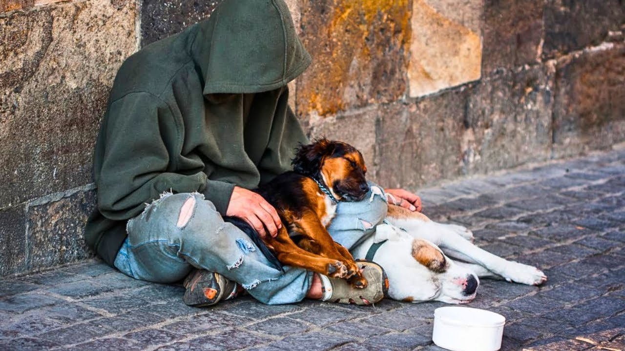 Vet Refuses To Help Homeless Man's Dog Days Later, This Happens