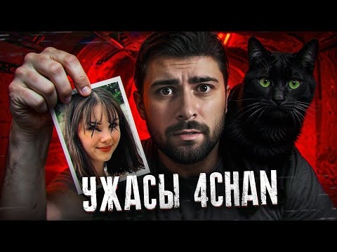 Самый безумный тред 4Chan