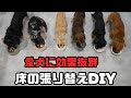 【犬７頭と暮らすおっさん】愛犬の為に床の張り替えDIY【クッションフロア】