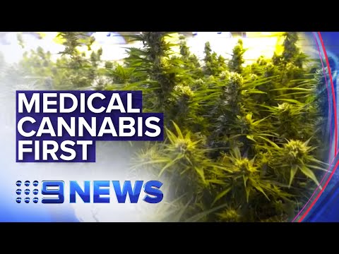 Inside WA's top secret medical cannabis facility | Nine News Australia thumbnail