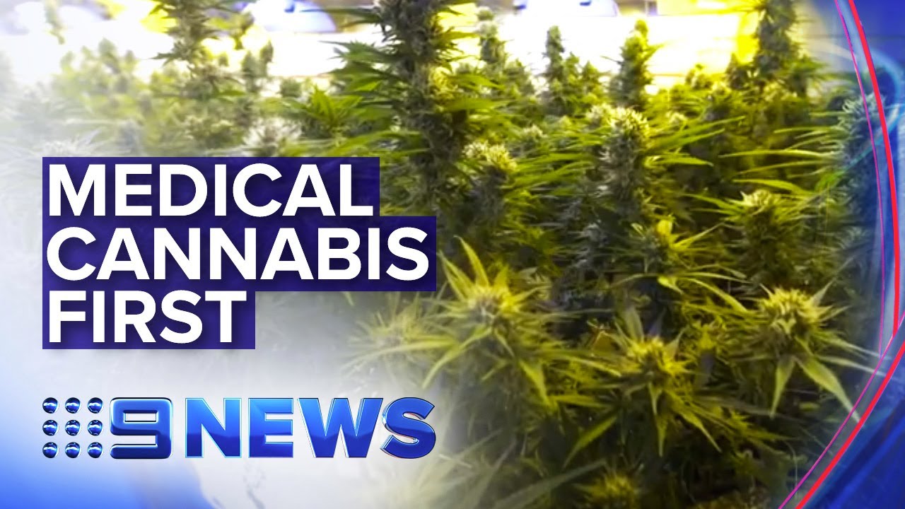 Inside WA's top secret medical cannabis facility | Nine News Australia