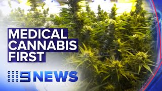 Inside WA's top secret medical cannabis facility | Nine News Australia