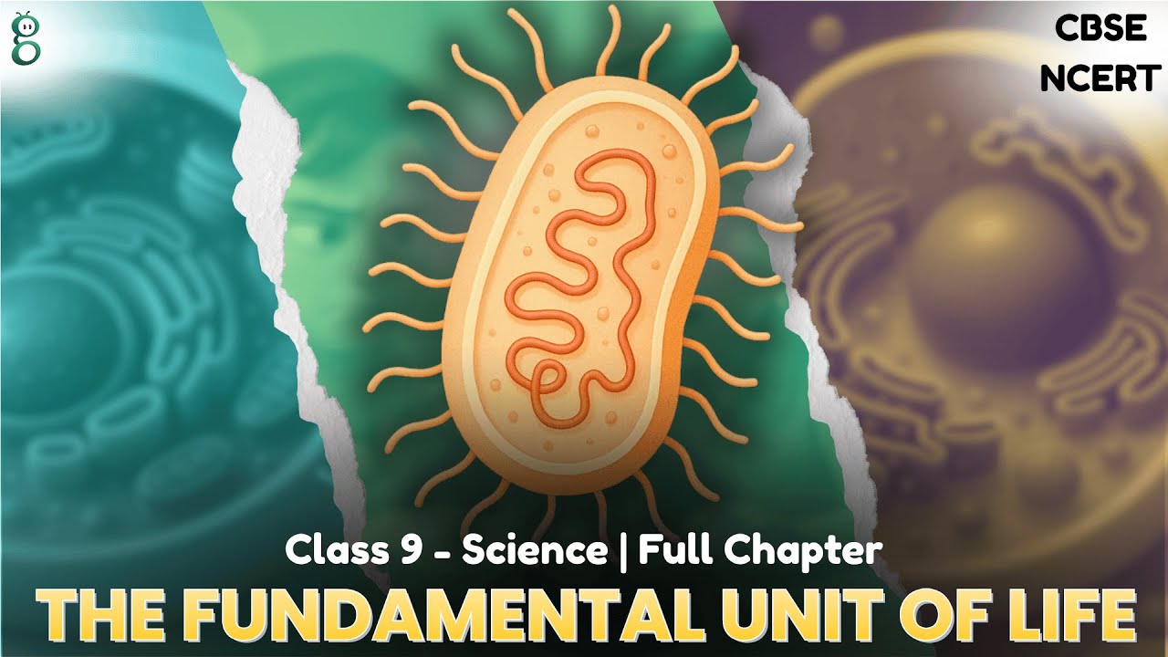 Class 9 Science | Chapter 5 The Fundamental Unit of Life | NCERT CBSE | Animation Video
