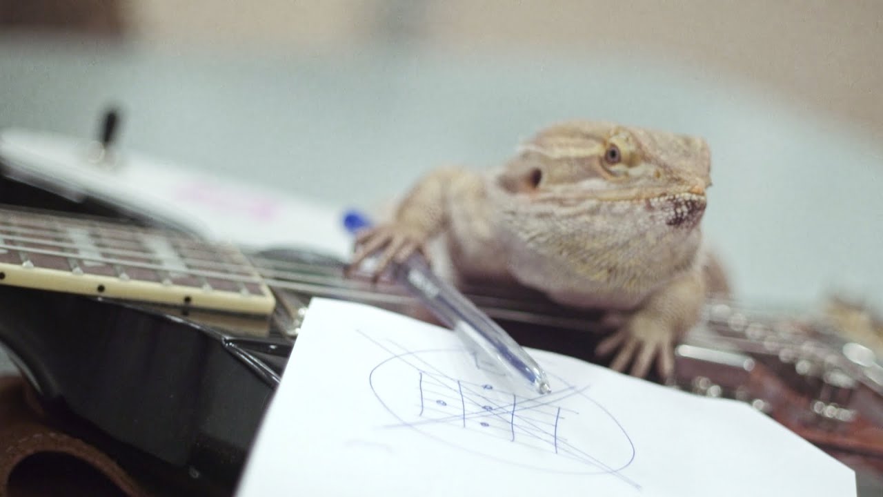 The Waiting - Rainy Days