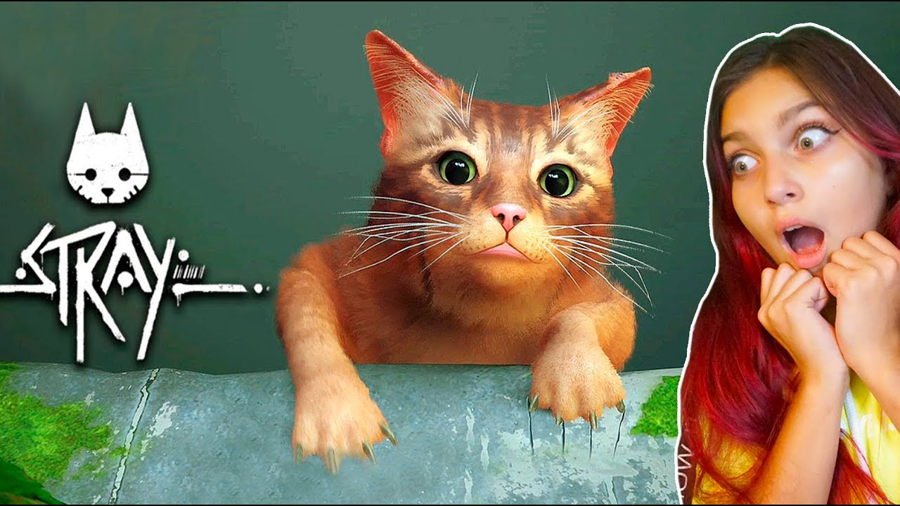 Валери Кэт. My Cat симулятор. Stray Cat Simulator. Симулятор кота из игры Stray. Red cat прохождение