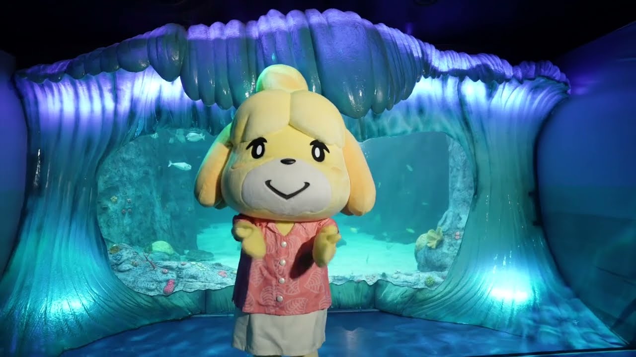 Meet Isabelle from Animal Crossing: New Horizons at SEA LIFE Sydney Aquarium