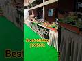 bestsciencemodel2025 |scienceexperiment |scienceexhibition2025