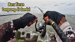 Download Lagu Momen Langkah..!! Mancing Serasa di Kolam MP3