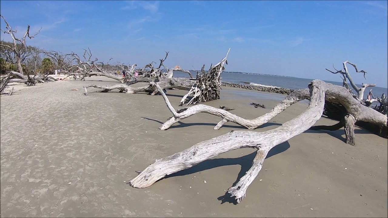 Exploring Driftwood Beach & Downtown Brunswick GA; Reviewing Coastal