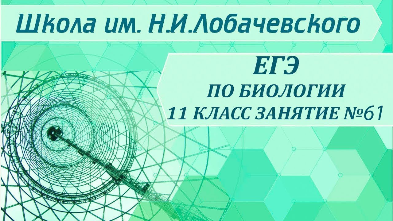 ⁣ЕГЭ по биологии 11 класс  Занятие 61 Оплодотворение у живых организмов