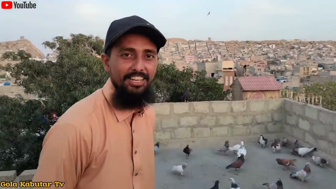 ADIL Bhai Ke Ghar Ke New Pigeons || Pigeon Video || Kabutar World.. 😃