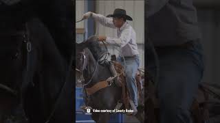 Fast rising collegiate rodeo program: Angelo State Rodeo
