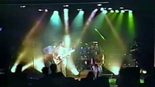 TDBBjp (copy band) - "Sweet Maxine"〜"Rockin' Down The Highway" (1990 live/org.: THE DOOBIE BROTHERS)