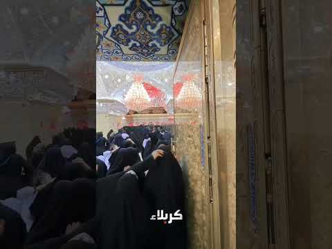 السلام على من جعل الله الشفاء في تربته السلام على من جعل الاجابه تحت قبته