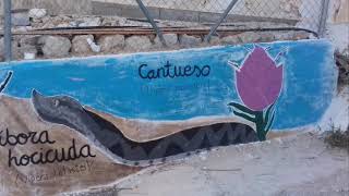 Medio Ambiente Peña Zafra de Abajo